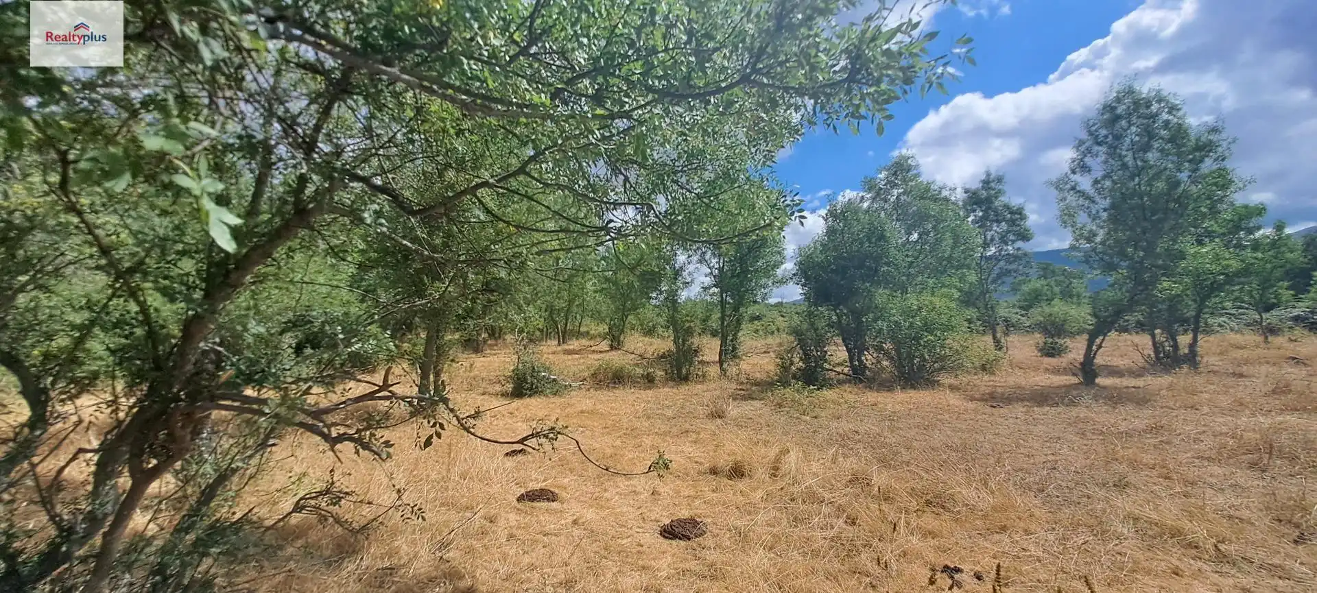 Terreni e lotti in vendita a Sotosalbos, imagen 18