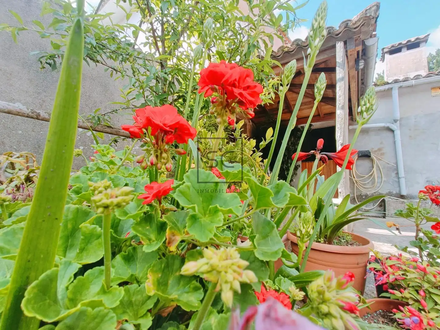 Garden of Houses for sale in Narón  with Private garden