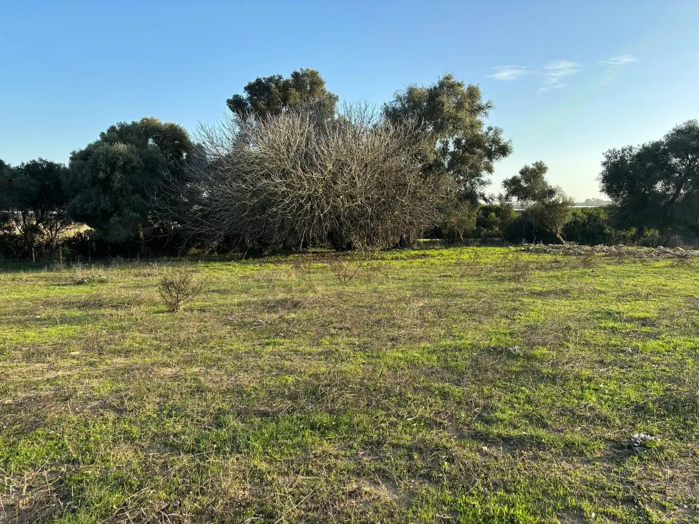 Terreni e lotti in vendita a Vejer, imagen 49