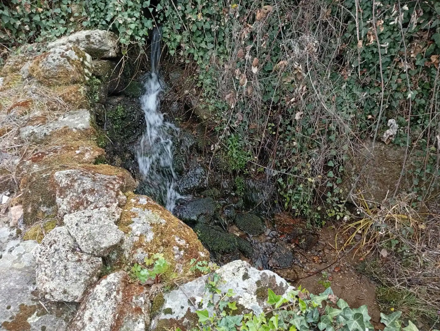 Terreni e lotti in vendita a Villanueva de la Vera, imagen 29