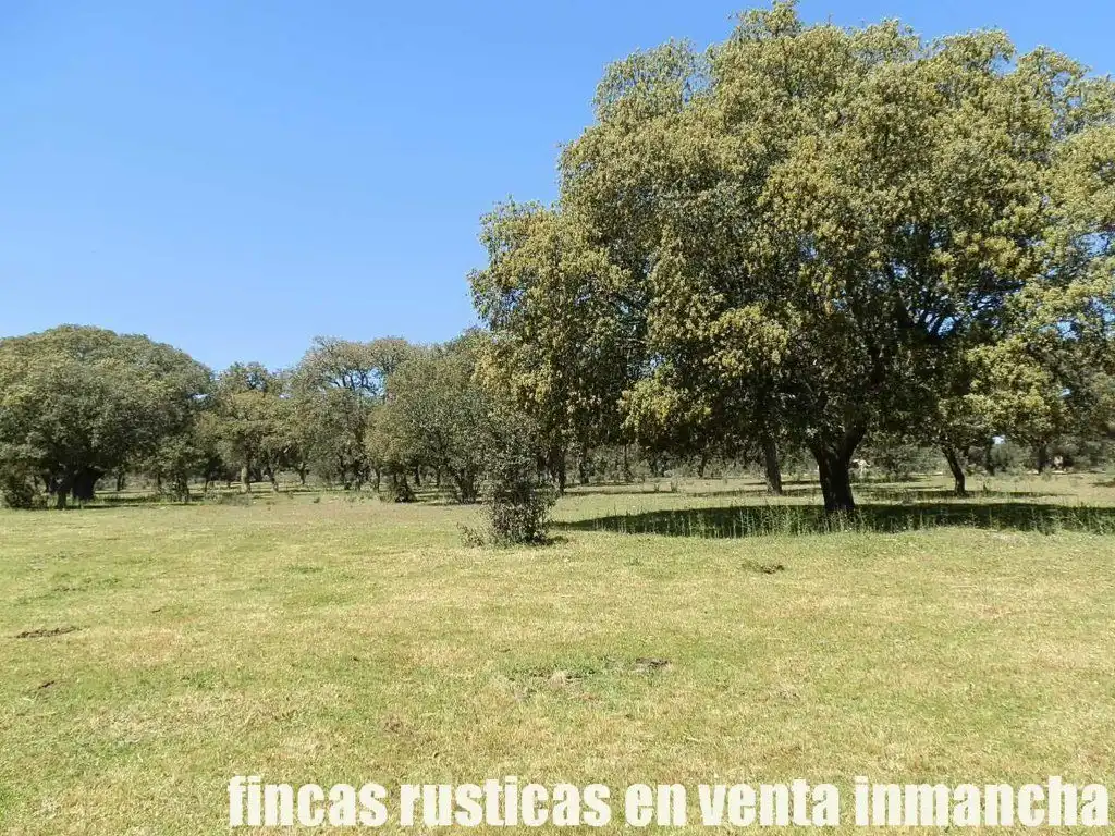 Terreno rustico in vendita a Ciudad Rodrigo, imagen 28