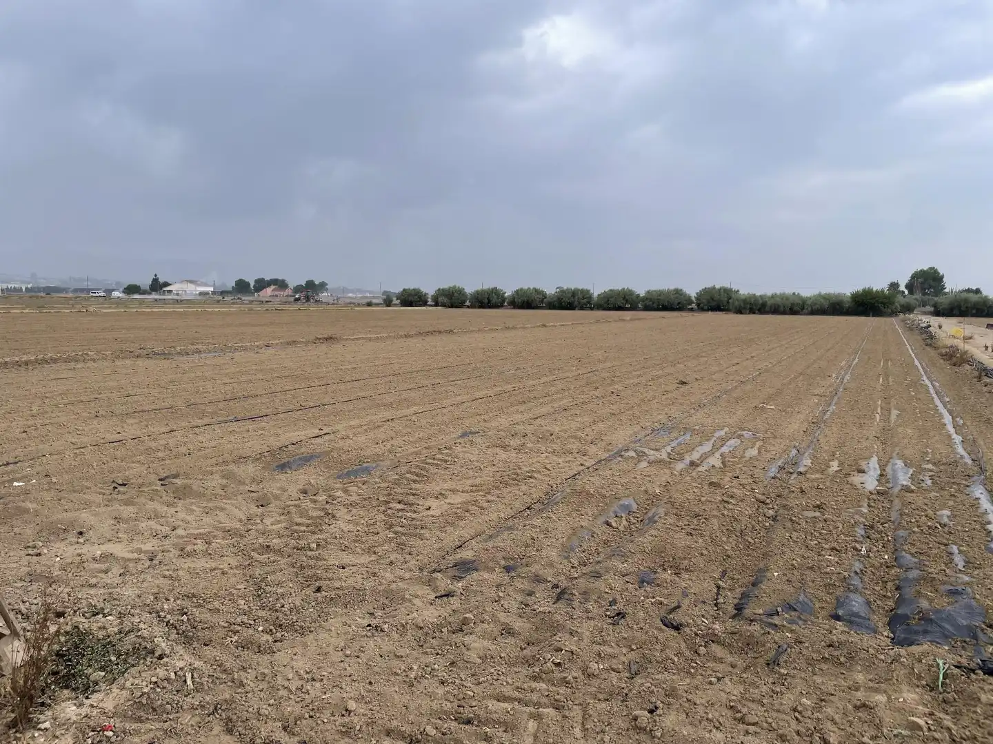 Lands and plots for sale in de Bodega, imagen 4