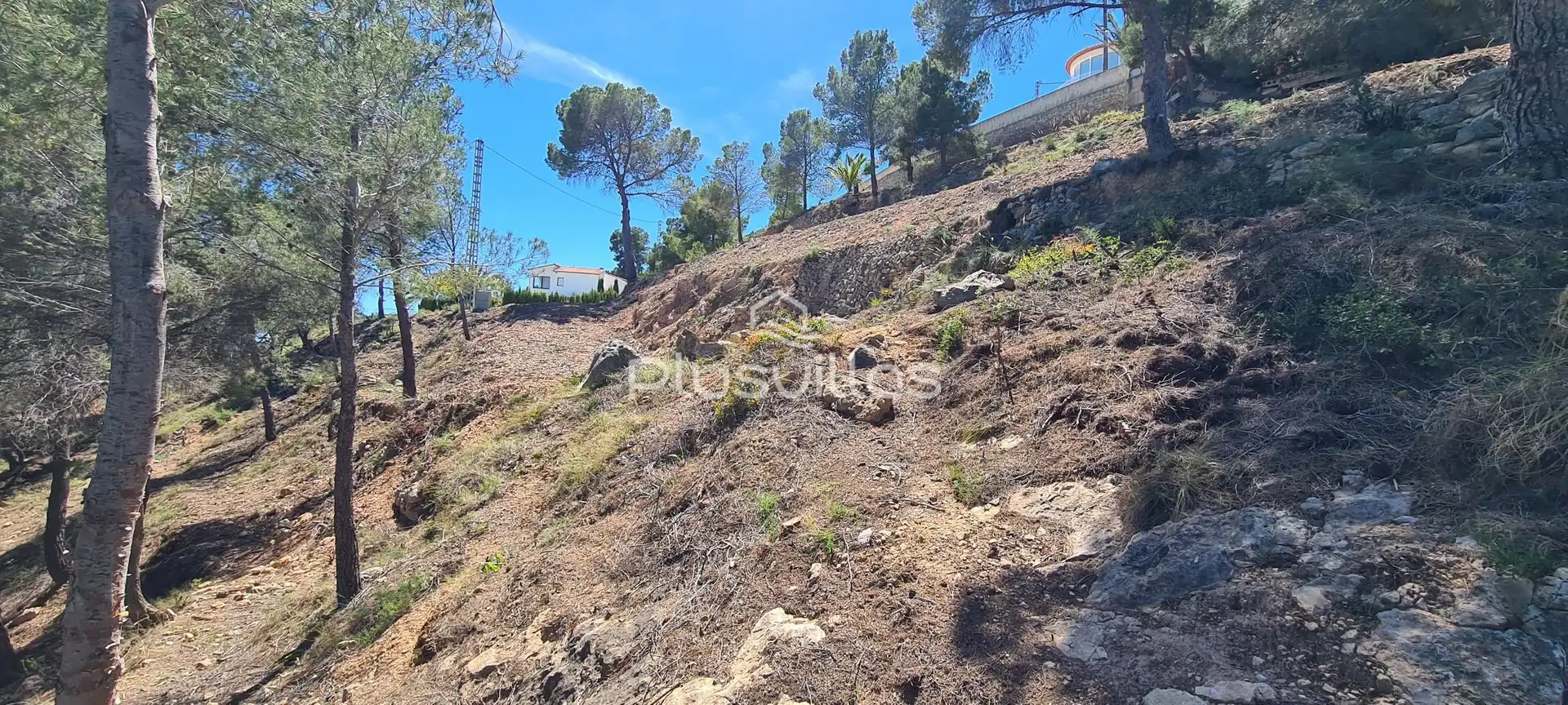 Lands and plots for sale in Oltamar - Cucarres, imagen 5