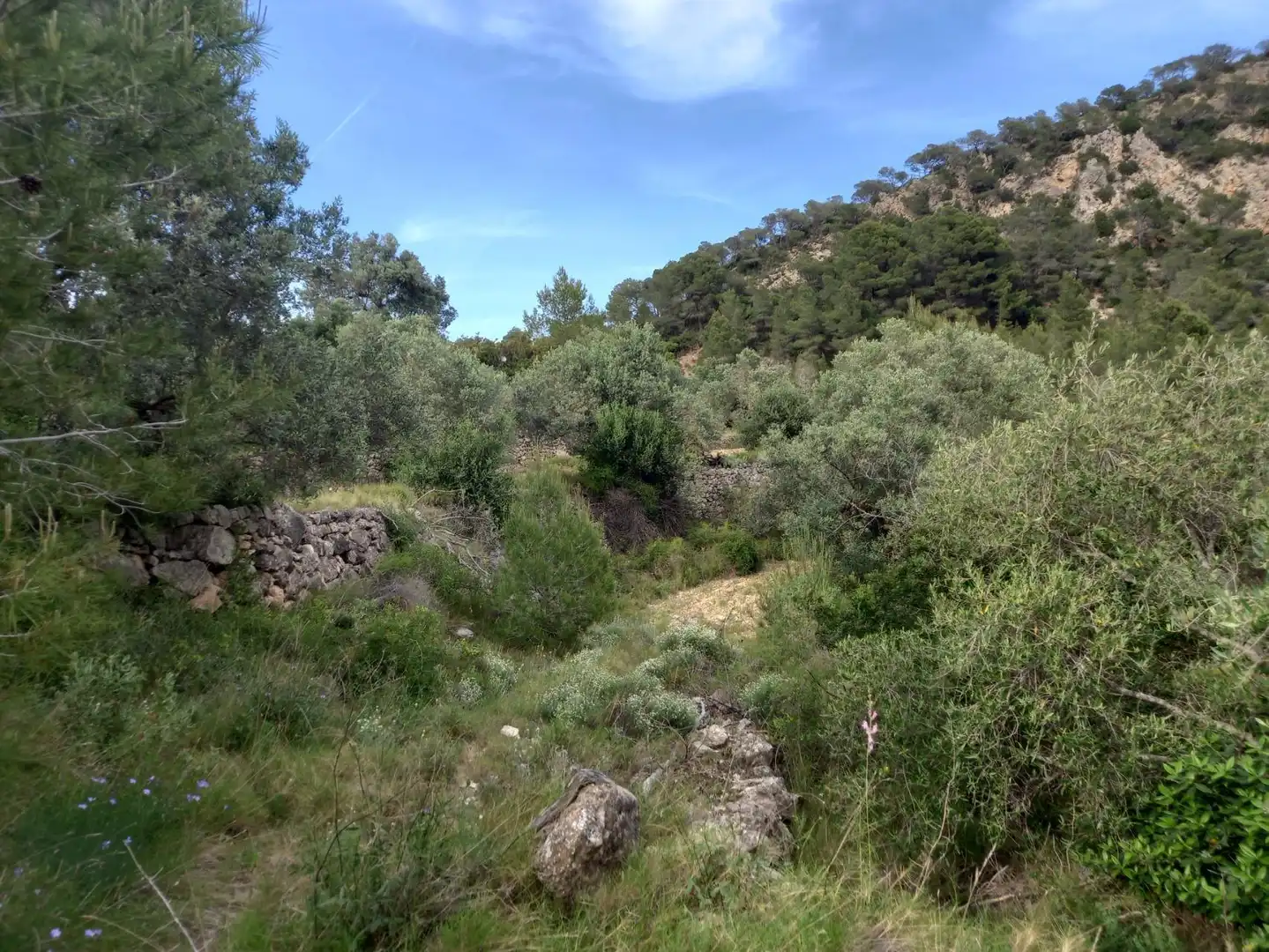 Rural land for sale in El Pinell de Brai, imagen 11