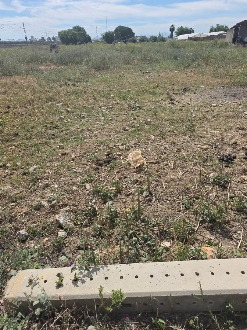 Rural land for sale in Pedanías Norte, imagen 5