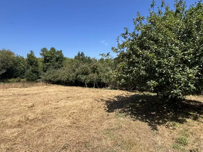 Casa rústica con terraza en venta en Ortigueira, imagen 20