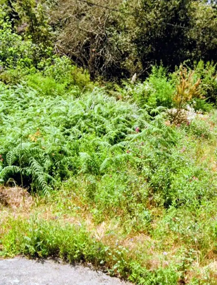 Rural land for sale in La Vega - El Amparo - Cueva del Viento, imagen 22