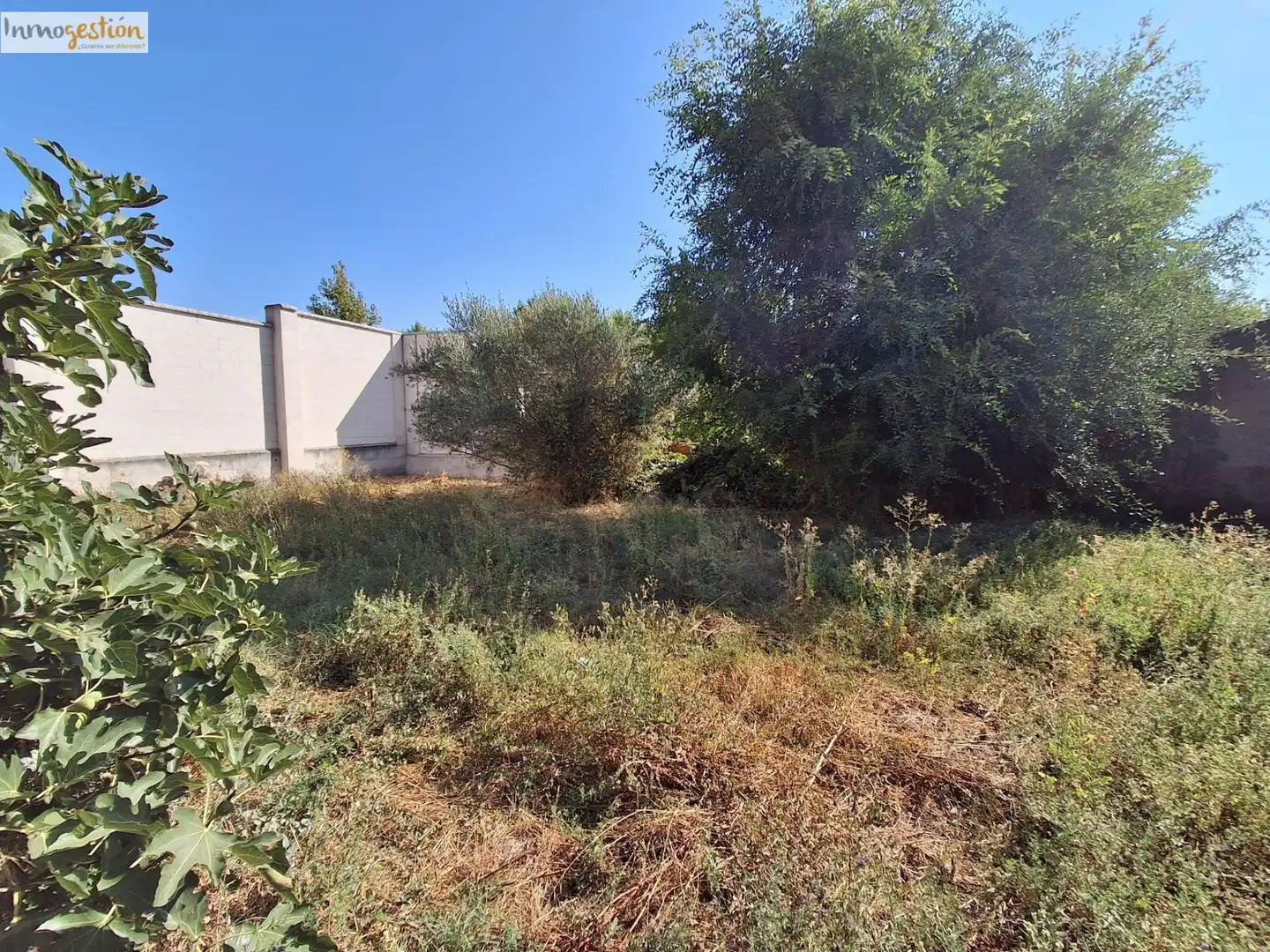 Residential zum Verkauf in Tudela de Duero