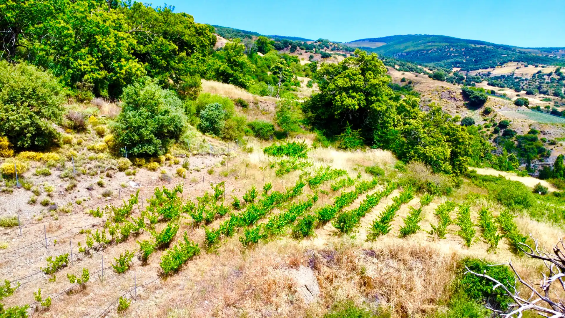 Terreni e lotti in vendita a Alpujarra de la Sierra, imagen 42