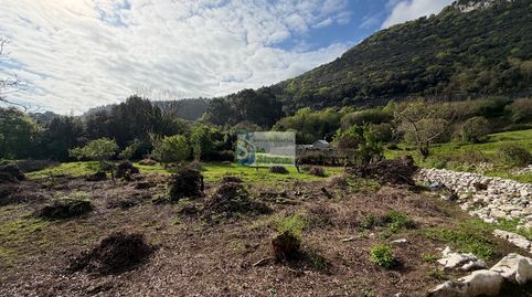 TERRENO RURAL CERDIGO, imatge 3