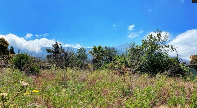 Land for sale in Carretera San Nicolás, El Paso