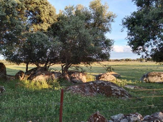 Terreno en Venta en Avenida Virgen del Encinar, 1 en Ceclavín