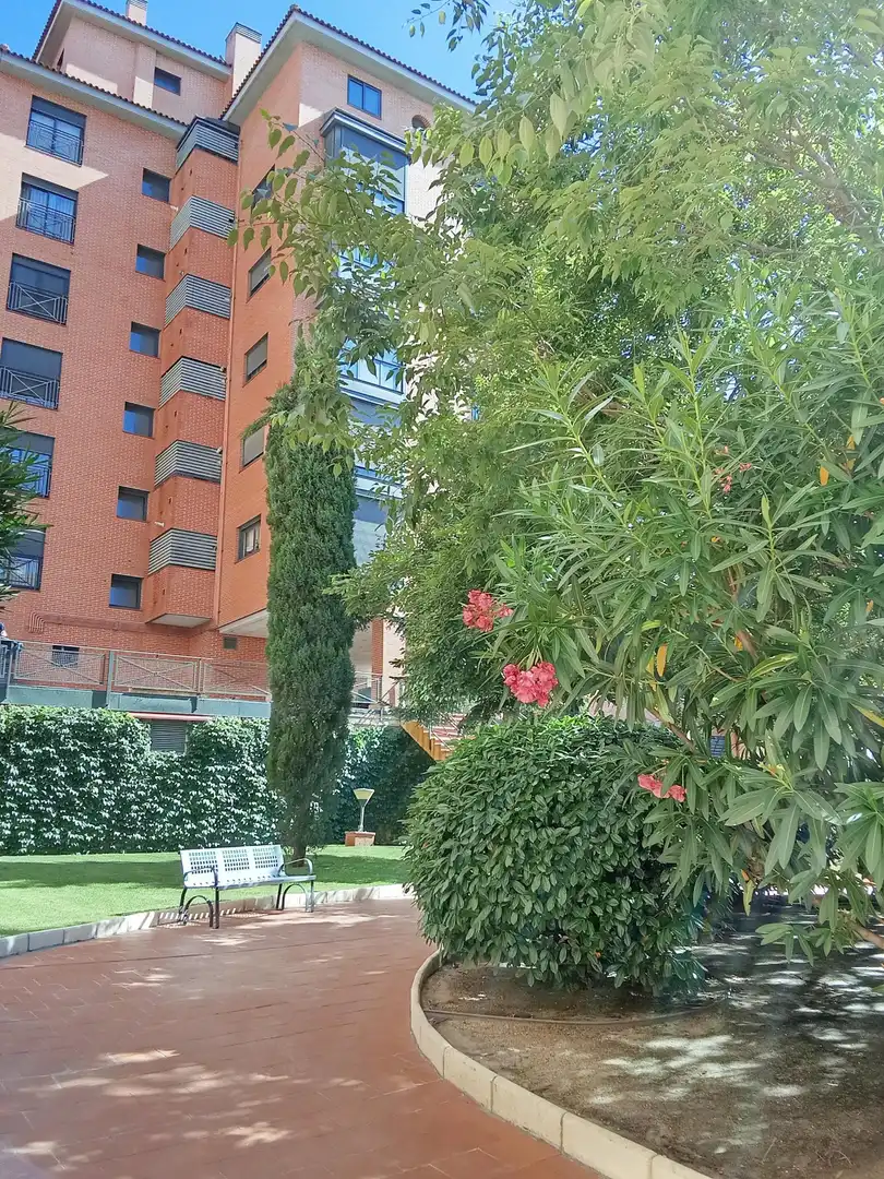 Garten von Wohnung zur Miete in Madrid mit Klimaanlage, Heizung und Terrasse