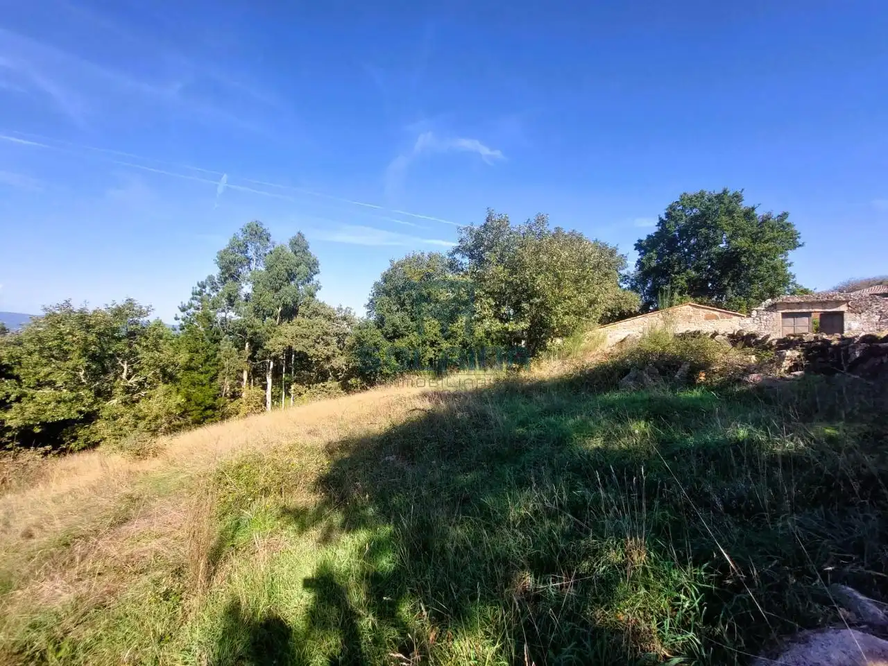 Terreni e lotti in vendita a O Pereiro de Aguiar, imagen 3