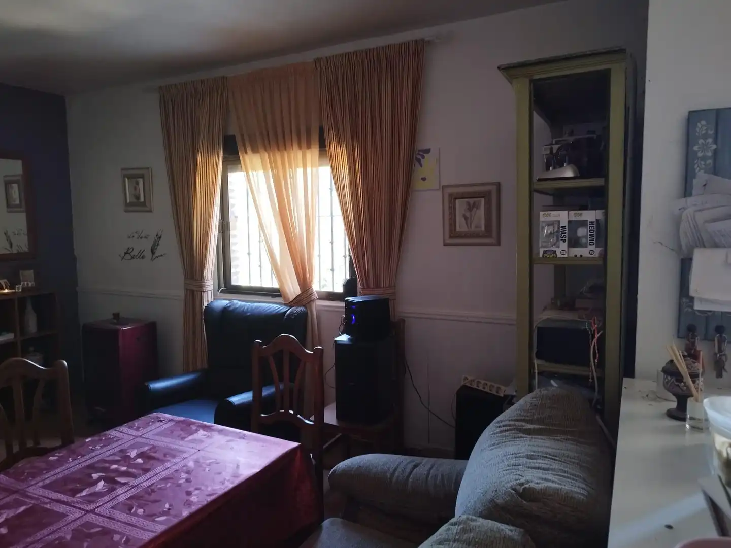 Sala d'estar de Finca rústica en venda en Almadén de la Plata amb Jardí privat