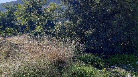 Foto 5 de Residencial en venda a Pego, Alicante