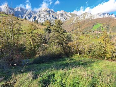 Wohnbaugrundstück zum Verkauf in Camaleño