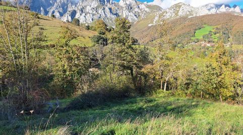 Terreno urbanizable en Liébana