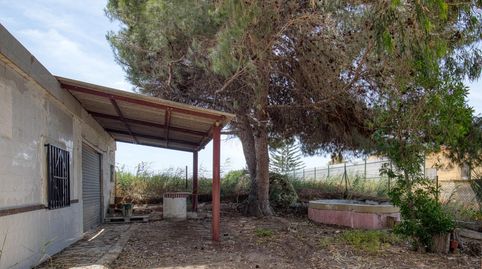 Foto 3 de Finca rústica en venda a Partida Marina, La Marina, Elche / Elx