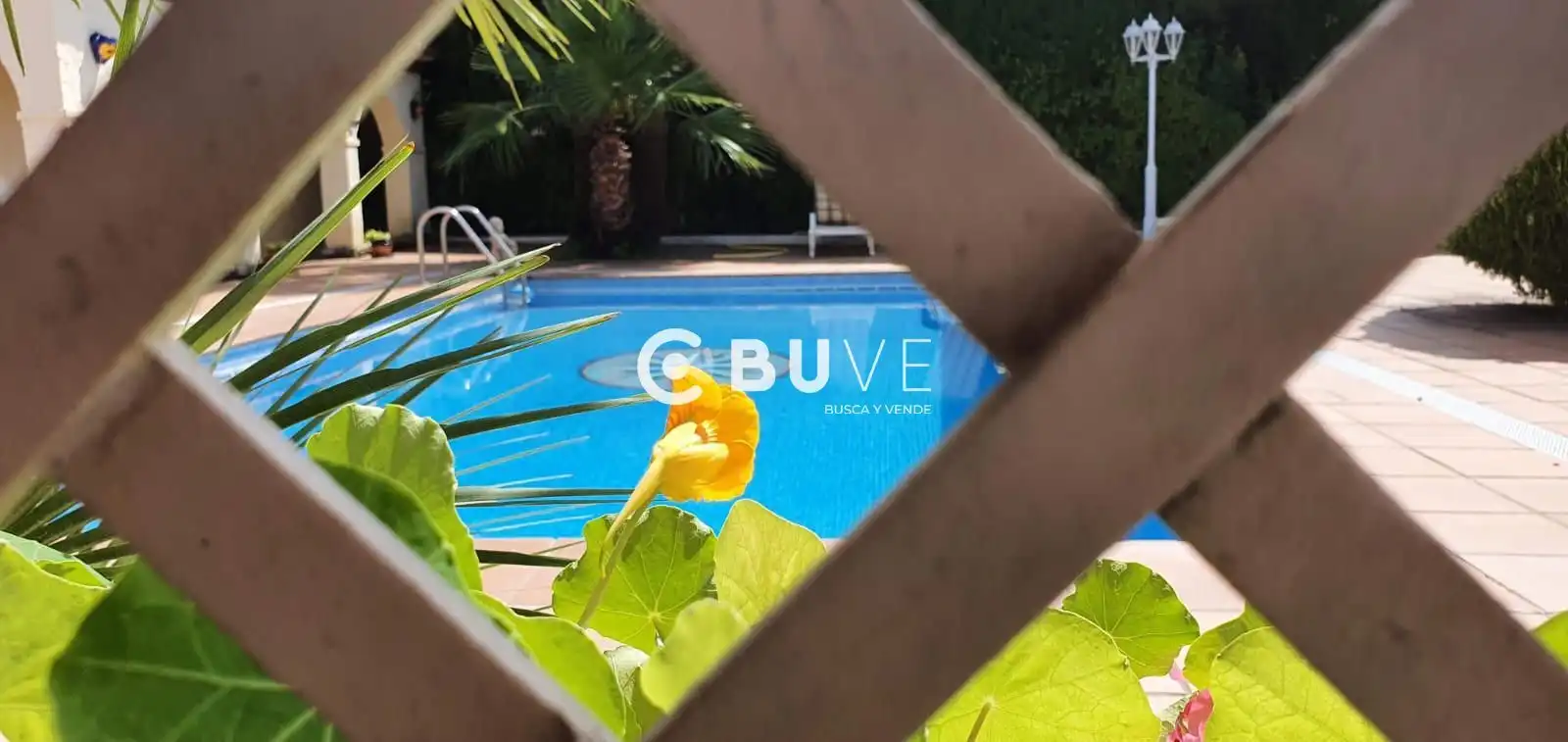 Detached house with pool for sale in DE LA ROSA, imagen 50