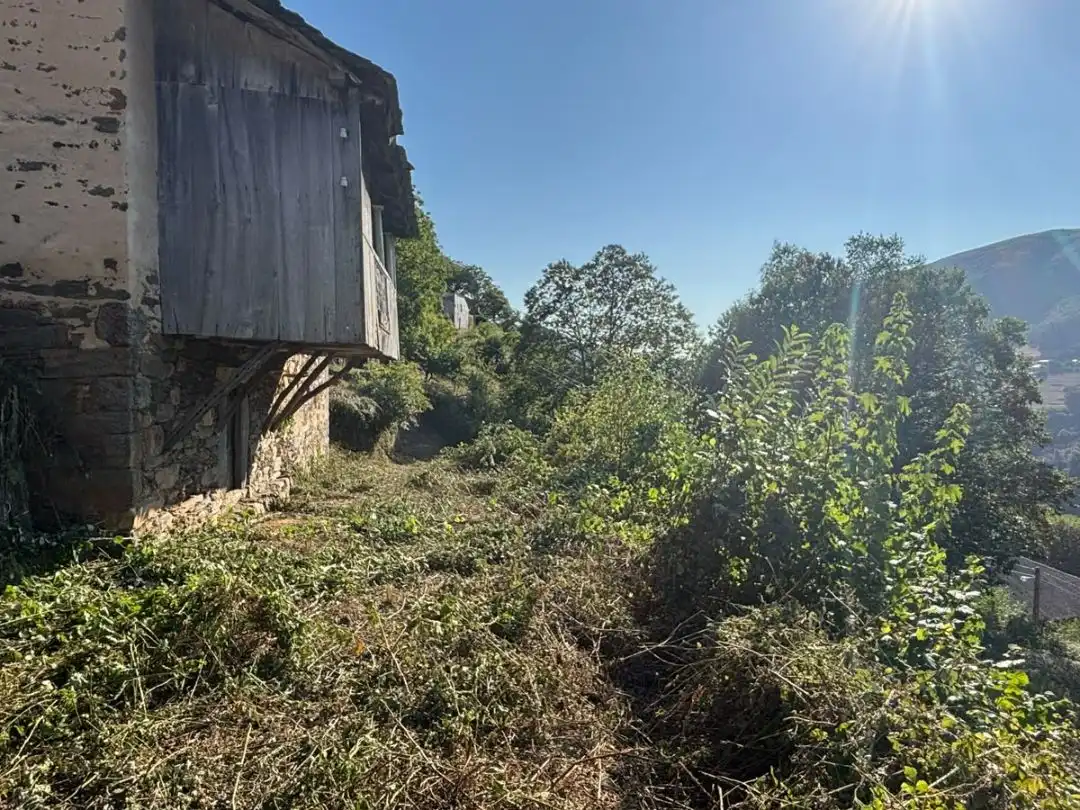 Houses for sale in Allande, Asturias
