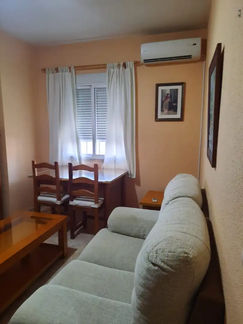 Sala de estar de Apartamento de alquiler en Zafra con Aire acondicionado, Amueblado y Microondas