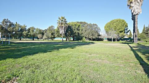 Foto 5 de Finca rústica en venda a Parque Atlántico - Ronda este, Cádiz