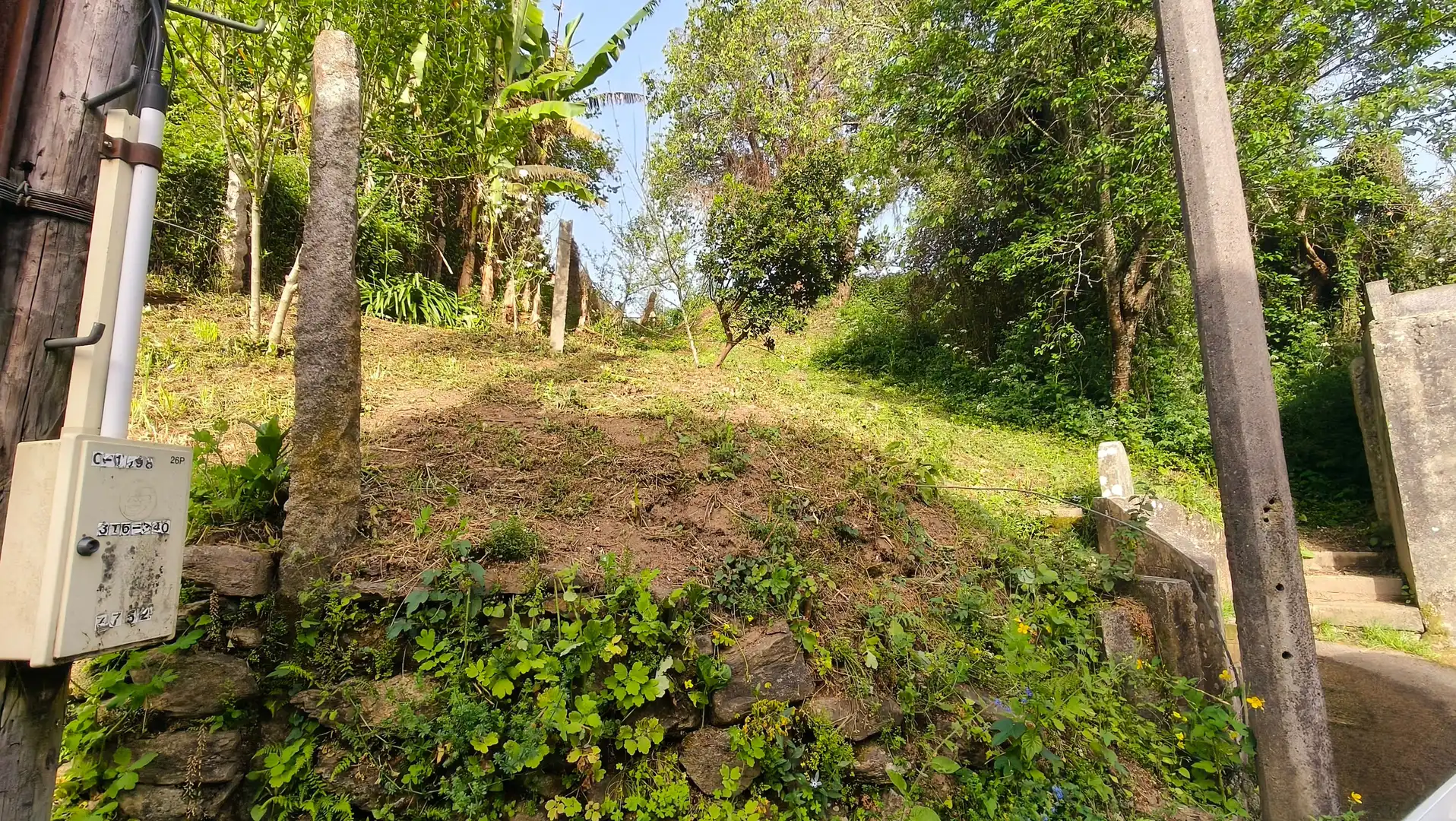 Terreno rústico en venta en Camino RAIÑA-BEMBRIVE, imagen 2