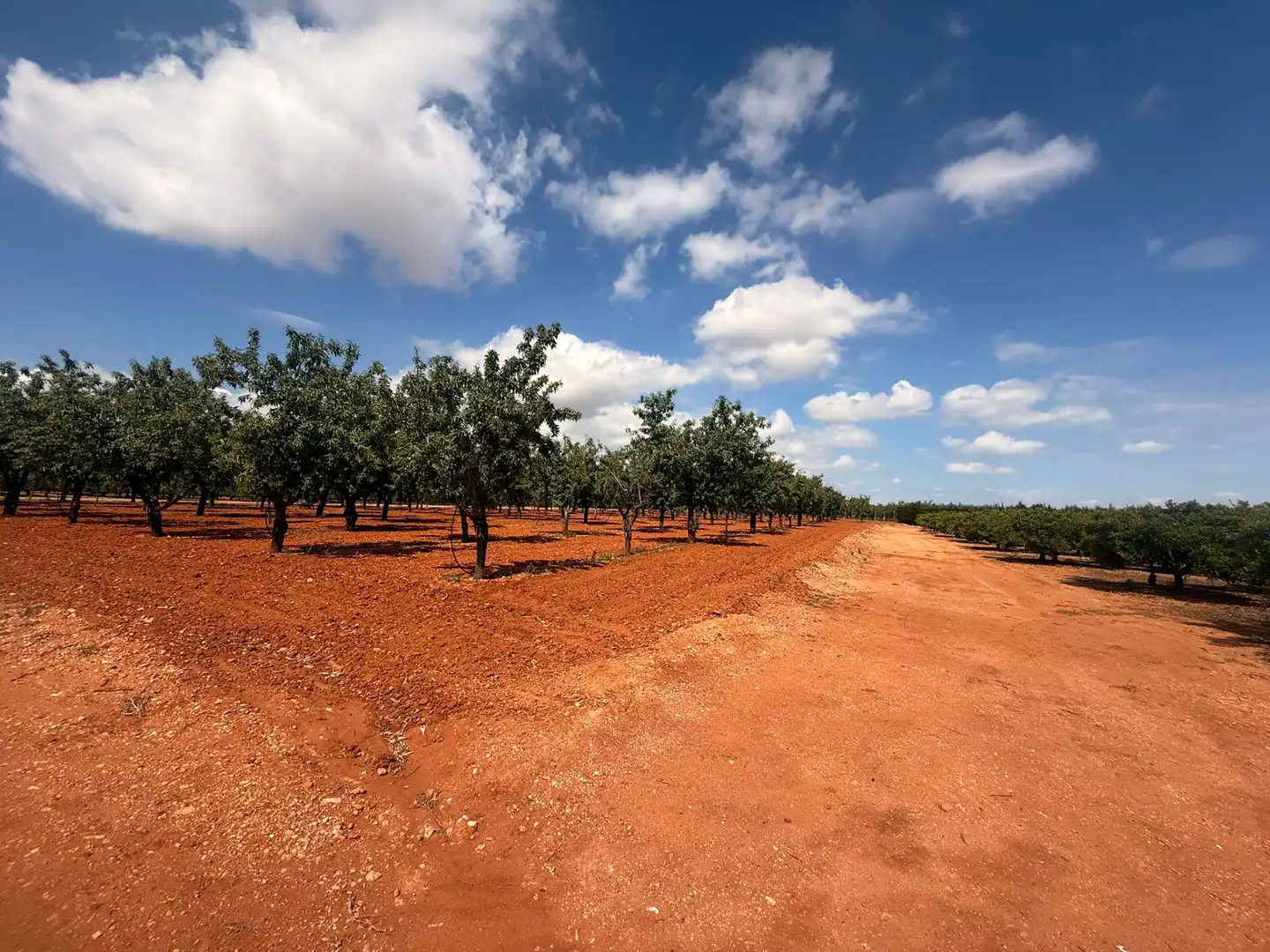 Vista exterior de Finca rústica en venda en Cartagena amb Aire condicionat, Terrassa i Traster