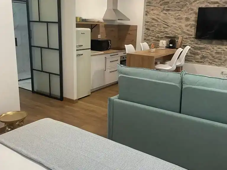 Sala de estar de Estudio de alquiler en Ferrol