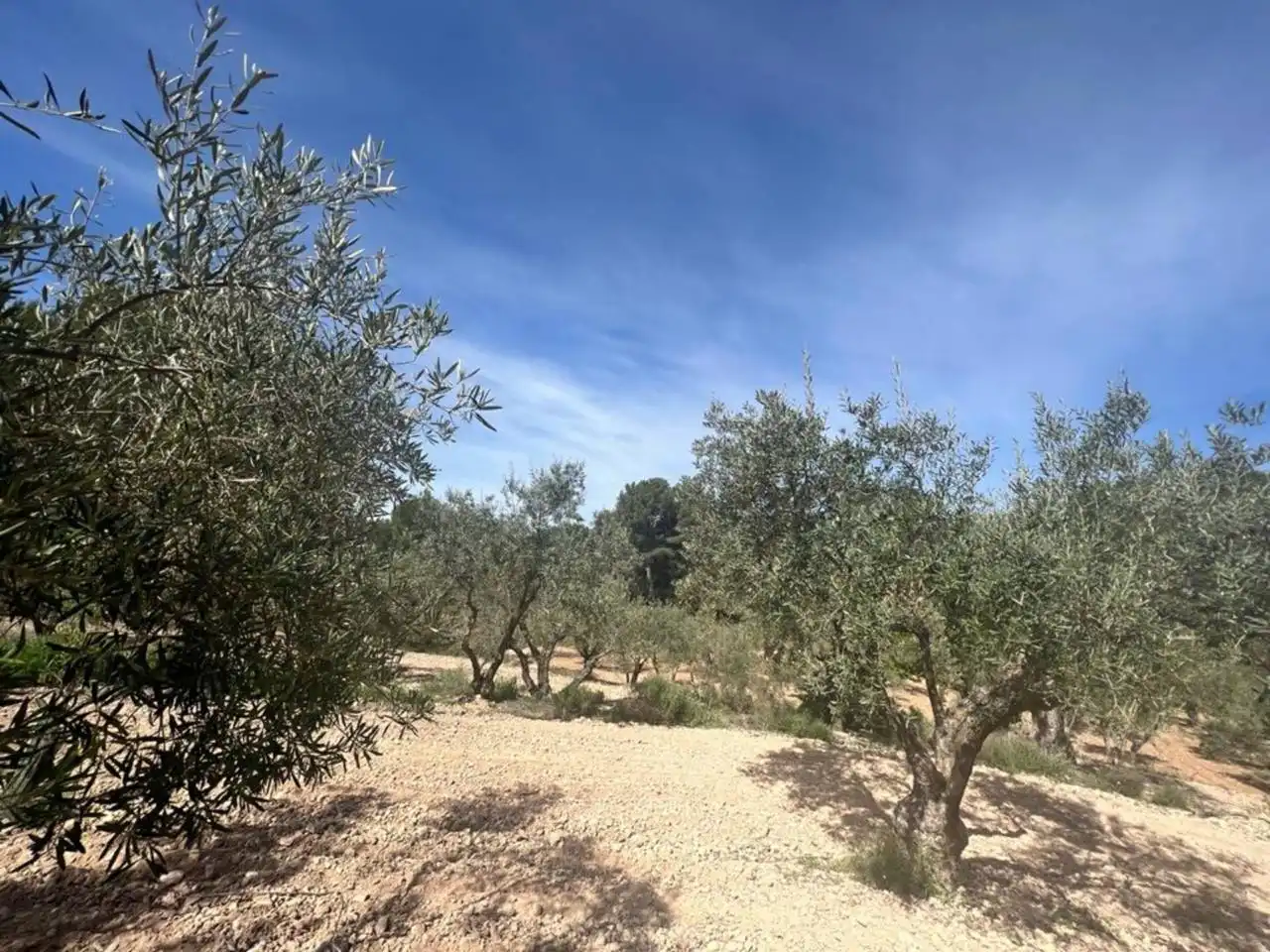 Chalet con jardín en venta en Calle Poligono, imagen 134