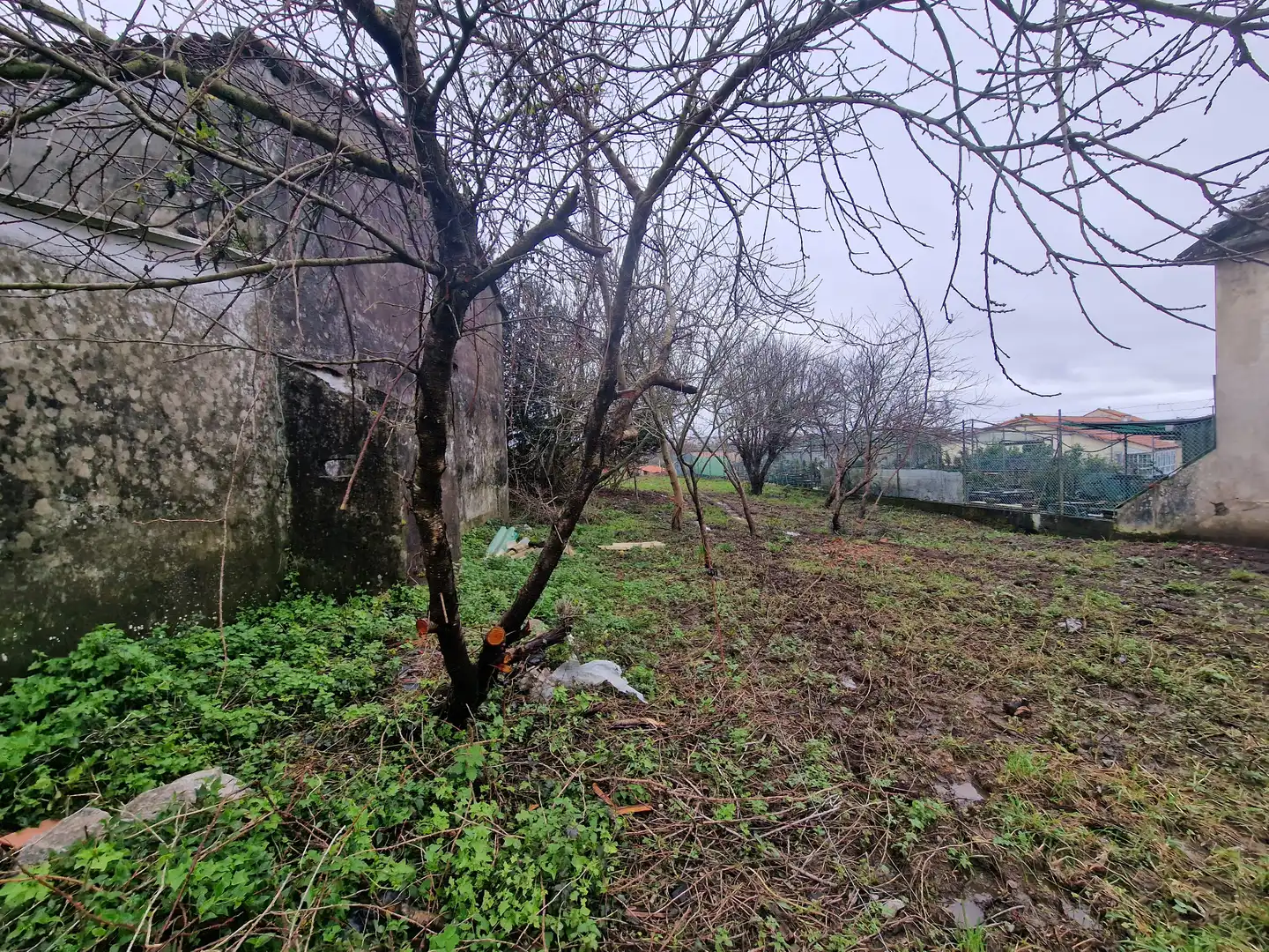 Maison avec jardin à vendre à Aldea Pazos, imagen 5
