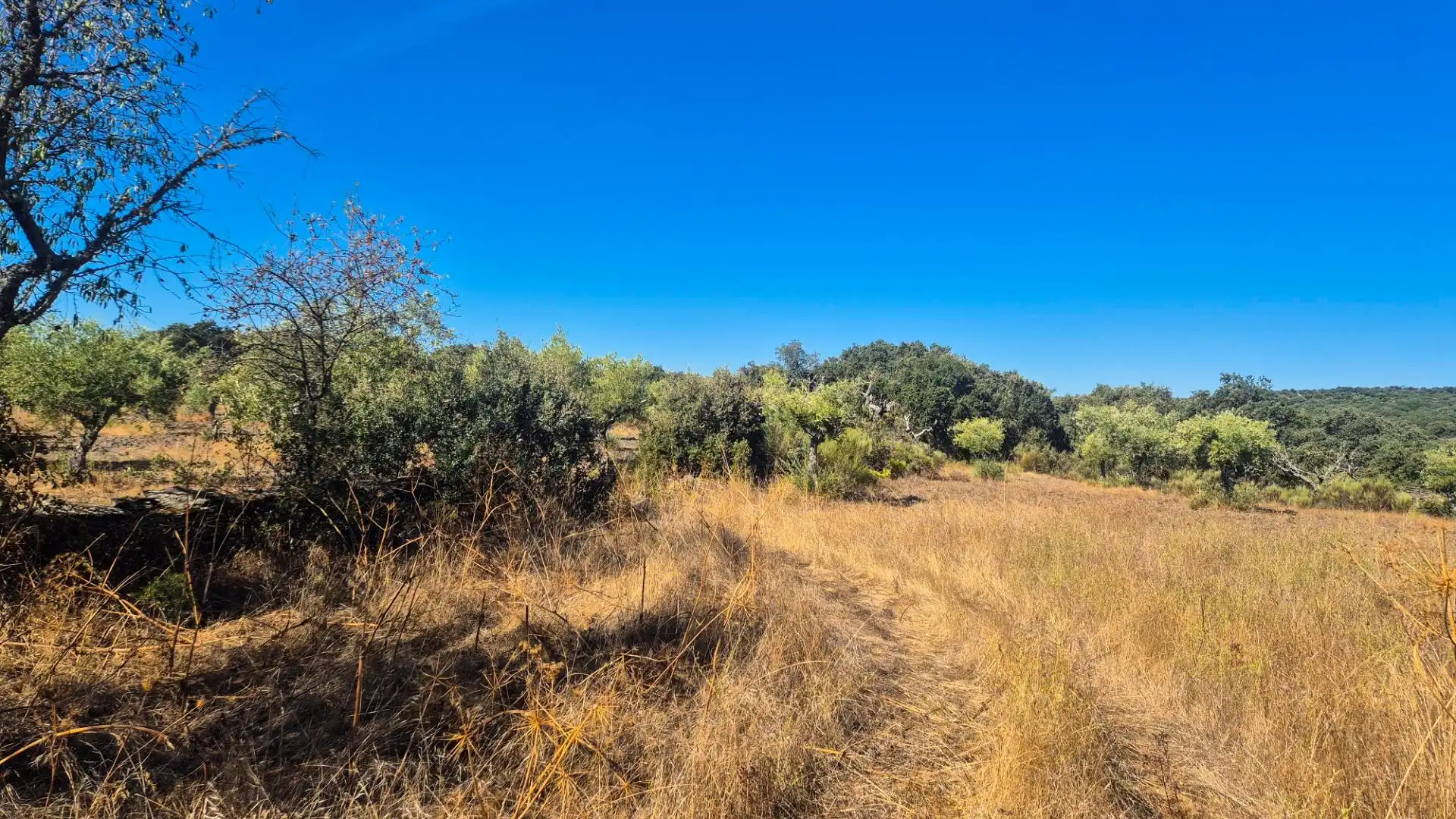 Land for sale in Ahigal de los Aceiteros, Salamanca