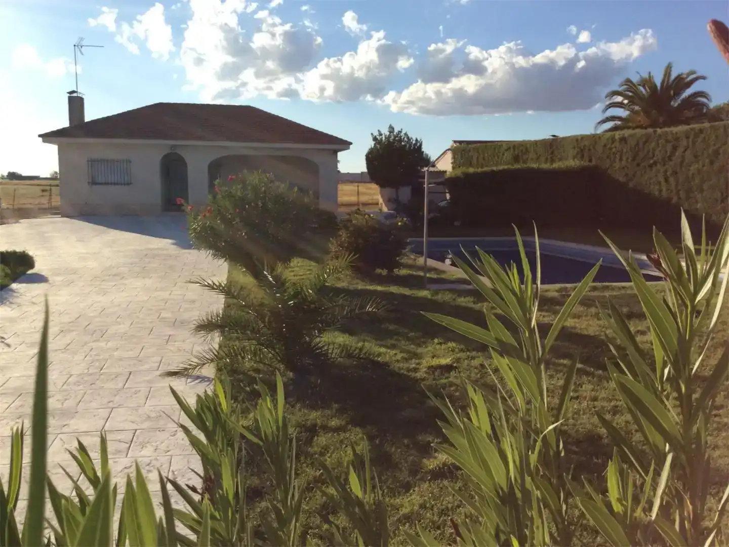 Jardí de Casa o xalet en venda en Cubas de la Sagra amb Aire condicionat i Piscina