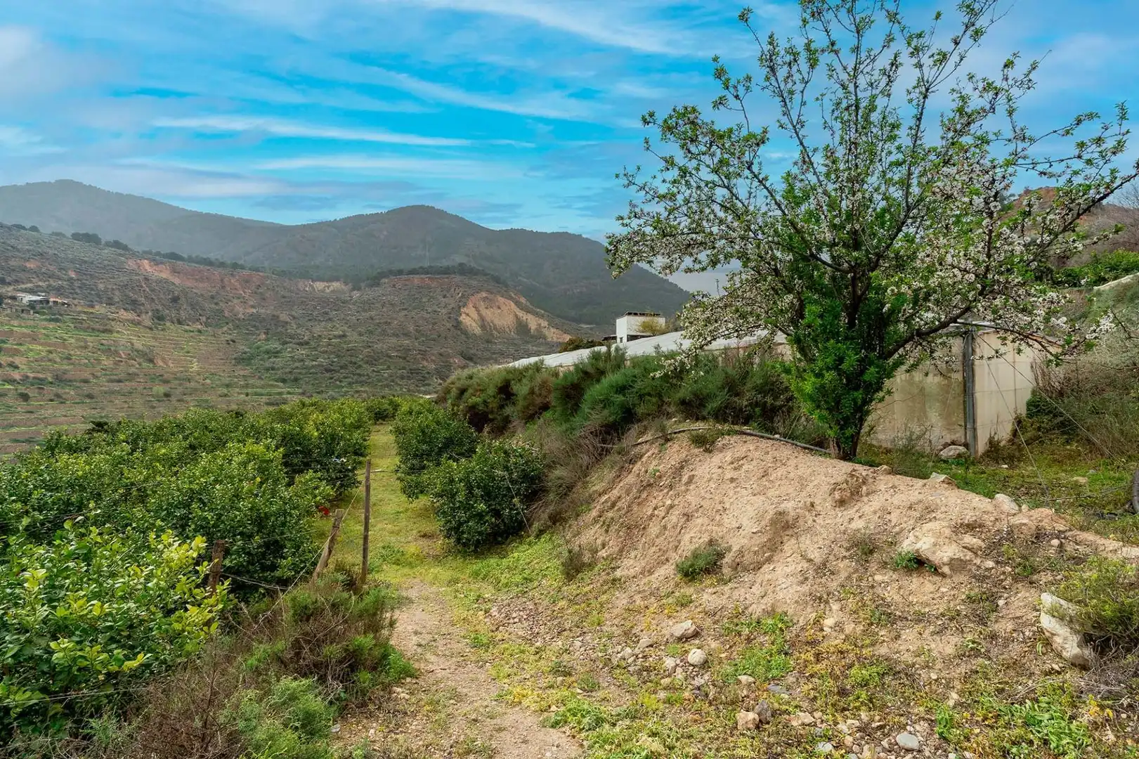 Detached house for sale in Canjáyar, imagen 37