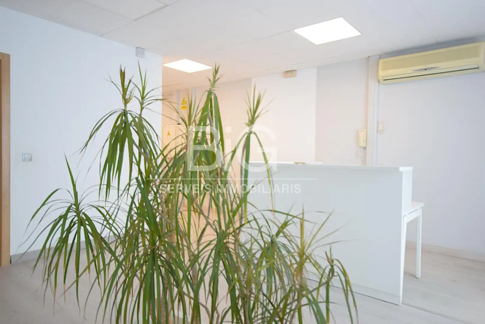 Office space with lift to rent in Pla d'en Boet, imagen 4