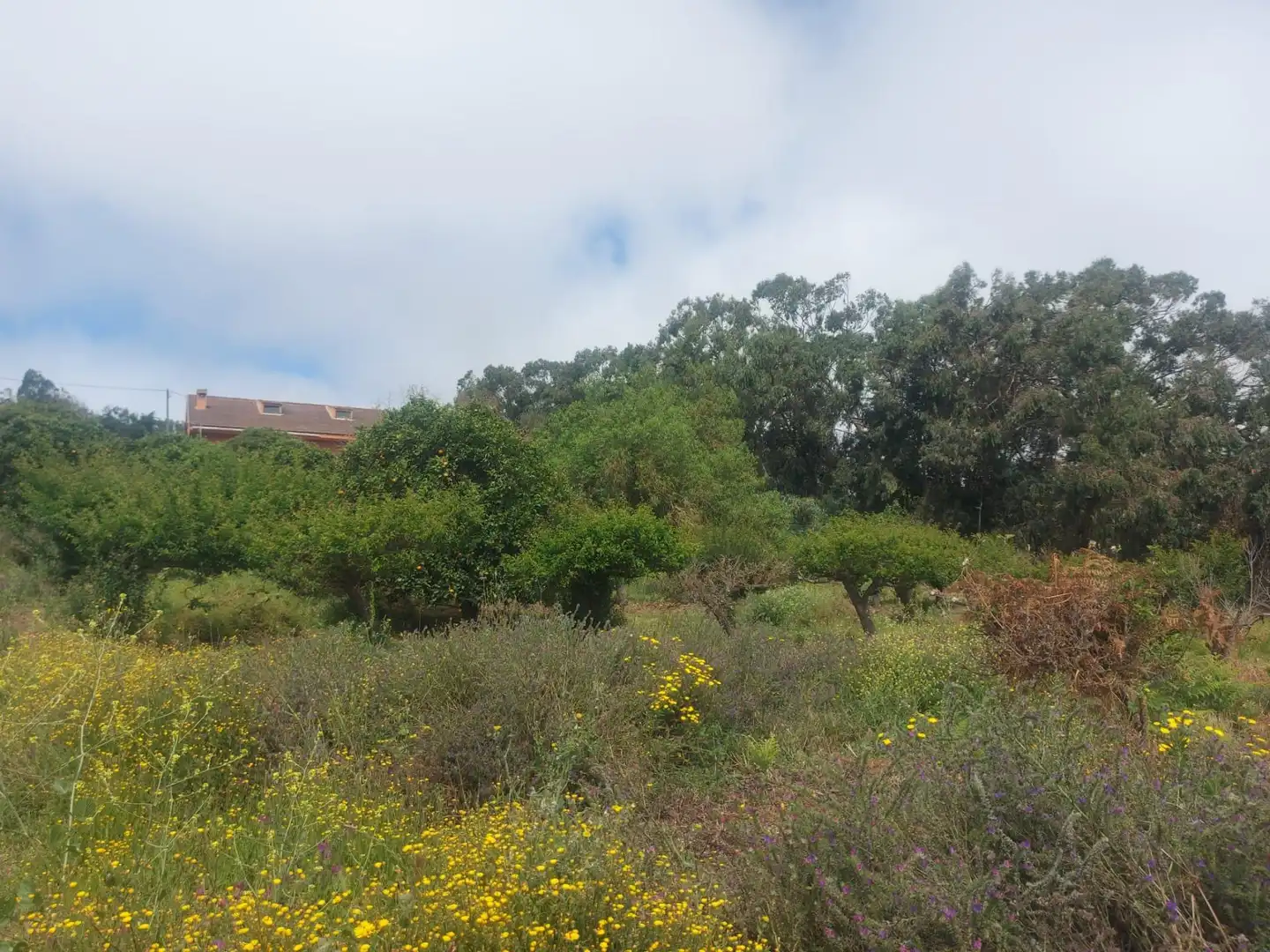 Finca rústica en venta en El Rosario con Jardín privado, Terraza y Alarma