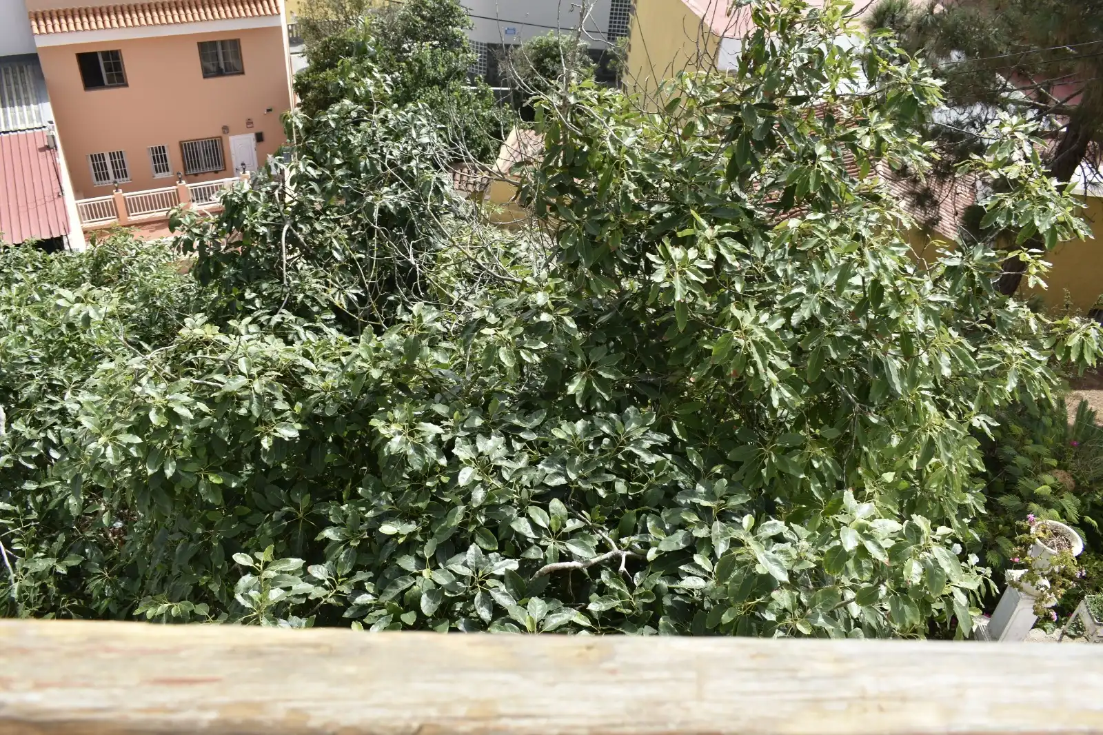 Casa adosada en venda en Firgas amb Jardí privat, Terrassa i Balcó
