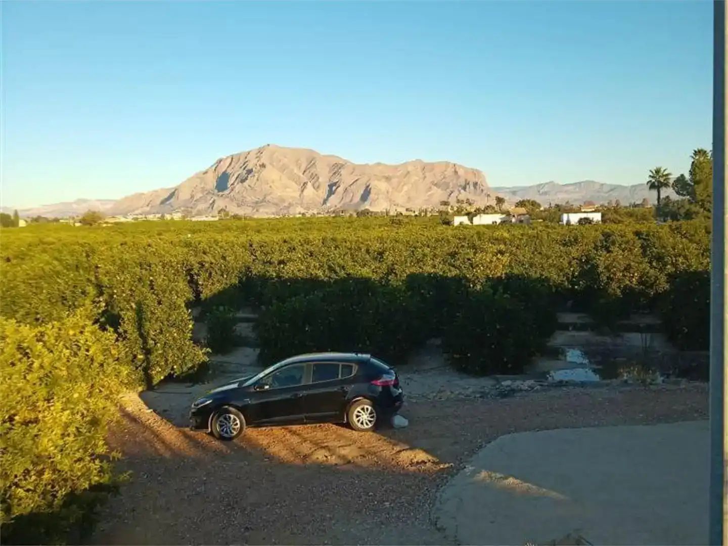 Parking de Terreno en venta en Orihuela