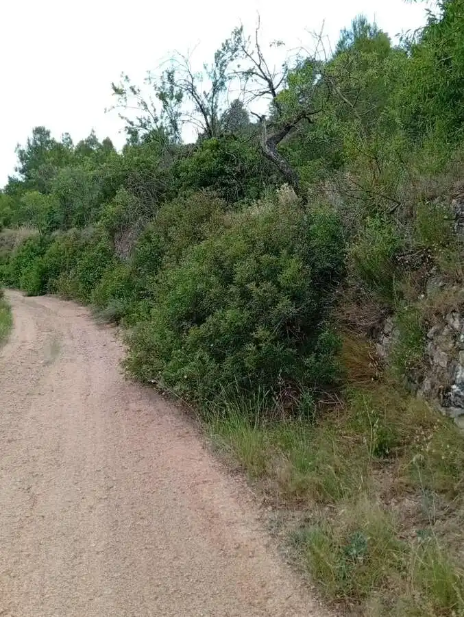 Piso en venta en Corbera d'Ebre, imagen 14