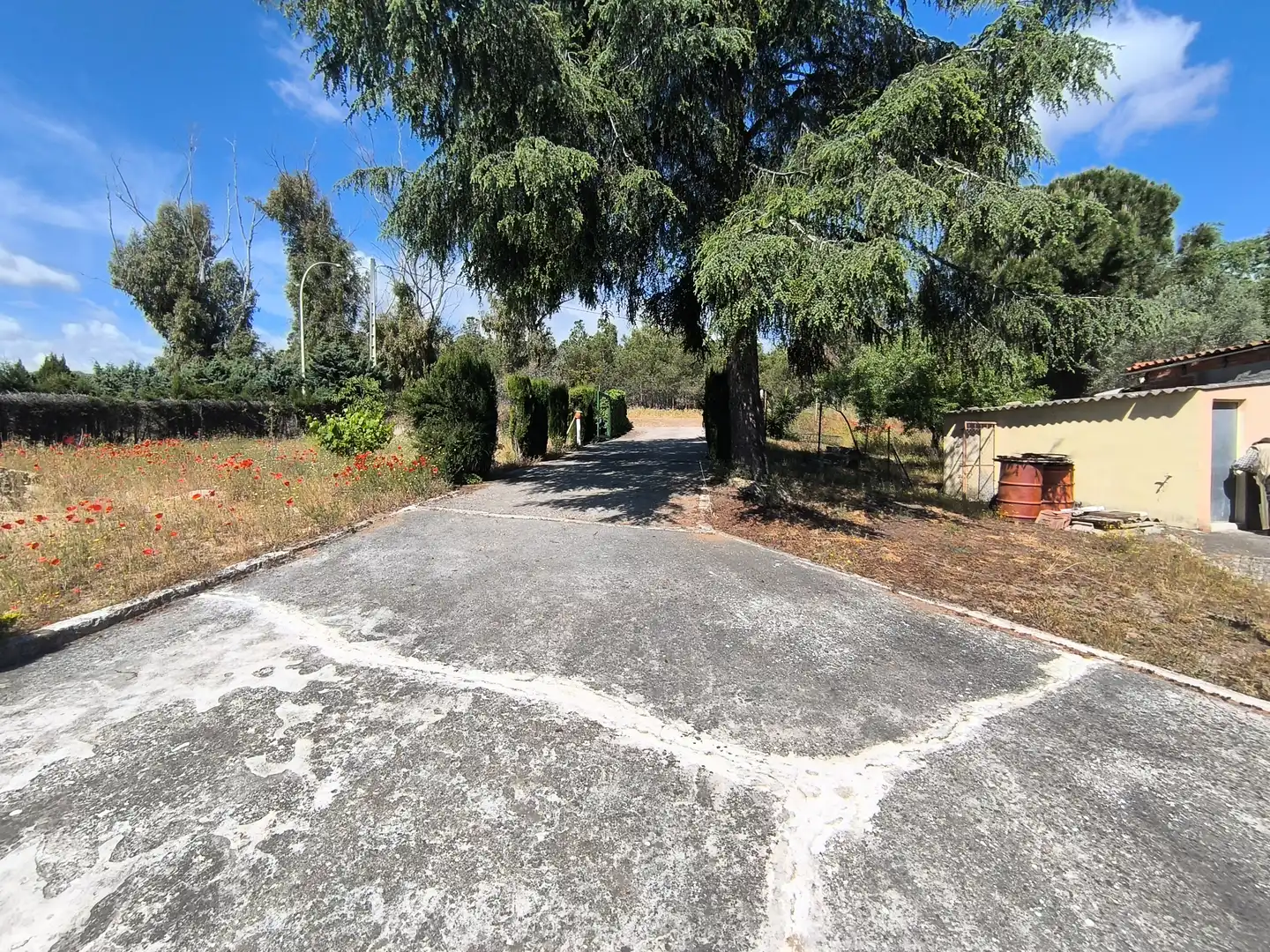 Land for sale in El Molar (Madrid)