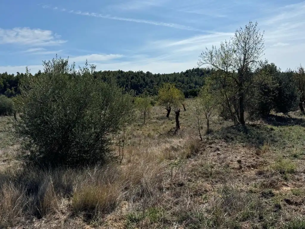 Terreni e lotti in vendita a Camino Fuente 5, imagen 18