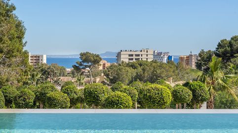 Foto 4 de Finca rústica en venta en Palmanova, Calvià