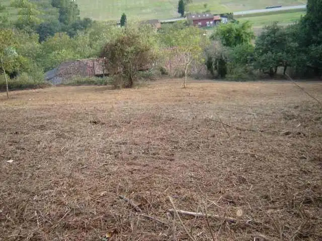Terreny residencial en venda a Carreño