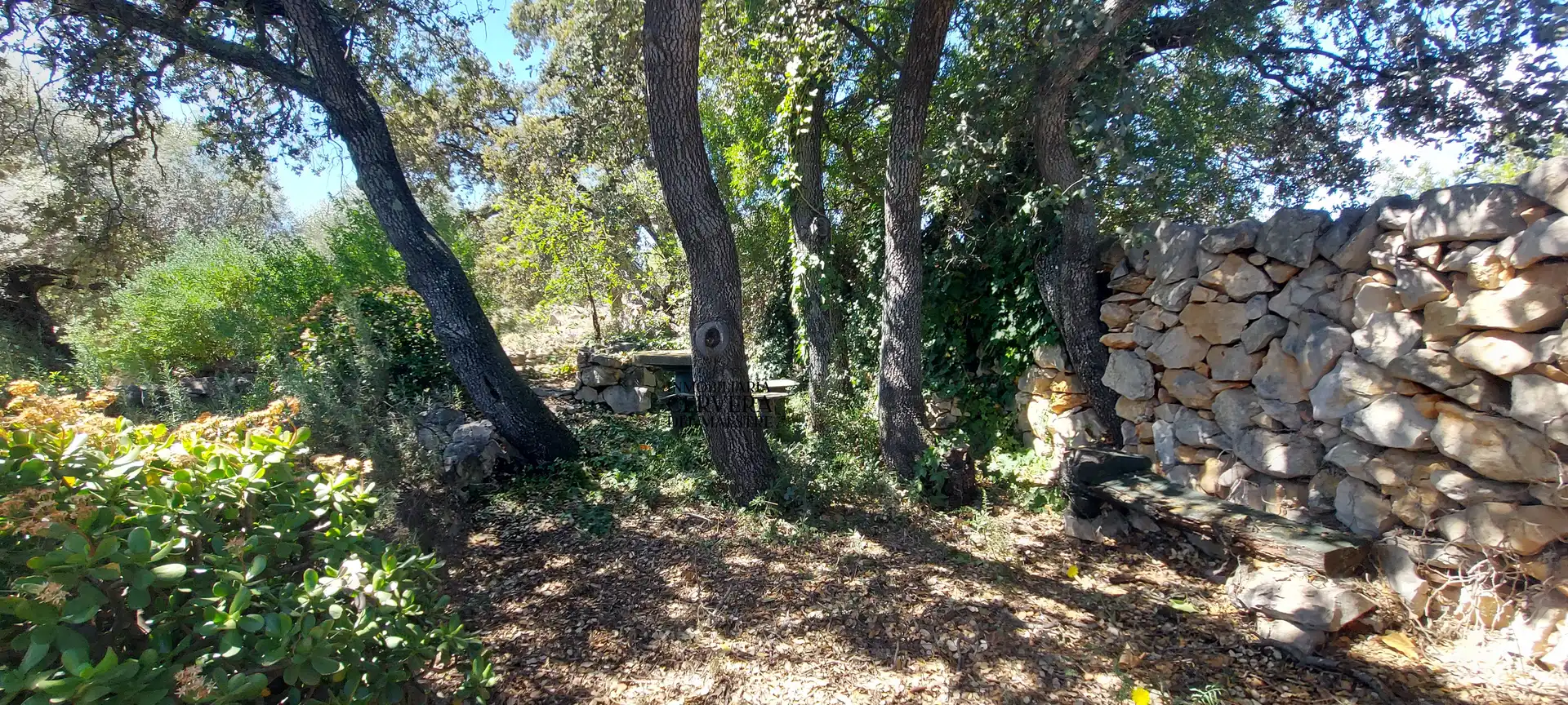 Terreno rustico in vendita a Cervera del Maestre, imagen 16