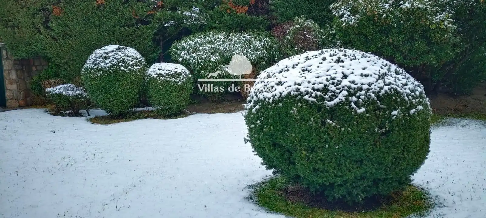 Jardí de Casa o xalet en venda en Pozuelo de Alarcón amb Aire condicionat, Calefacció i Parquet