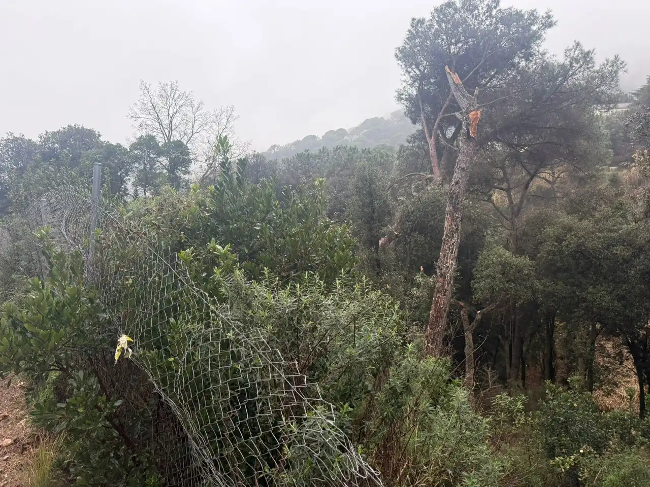 Terreno residenziale in vendita a Can Massuet del Far, imagen 8