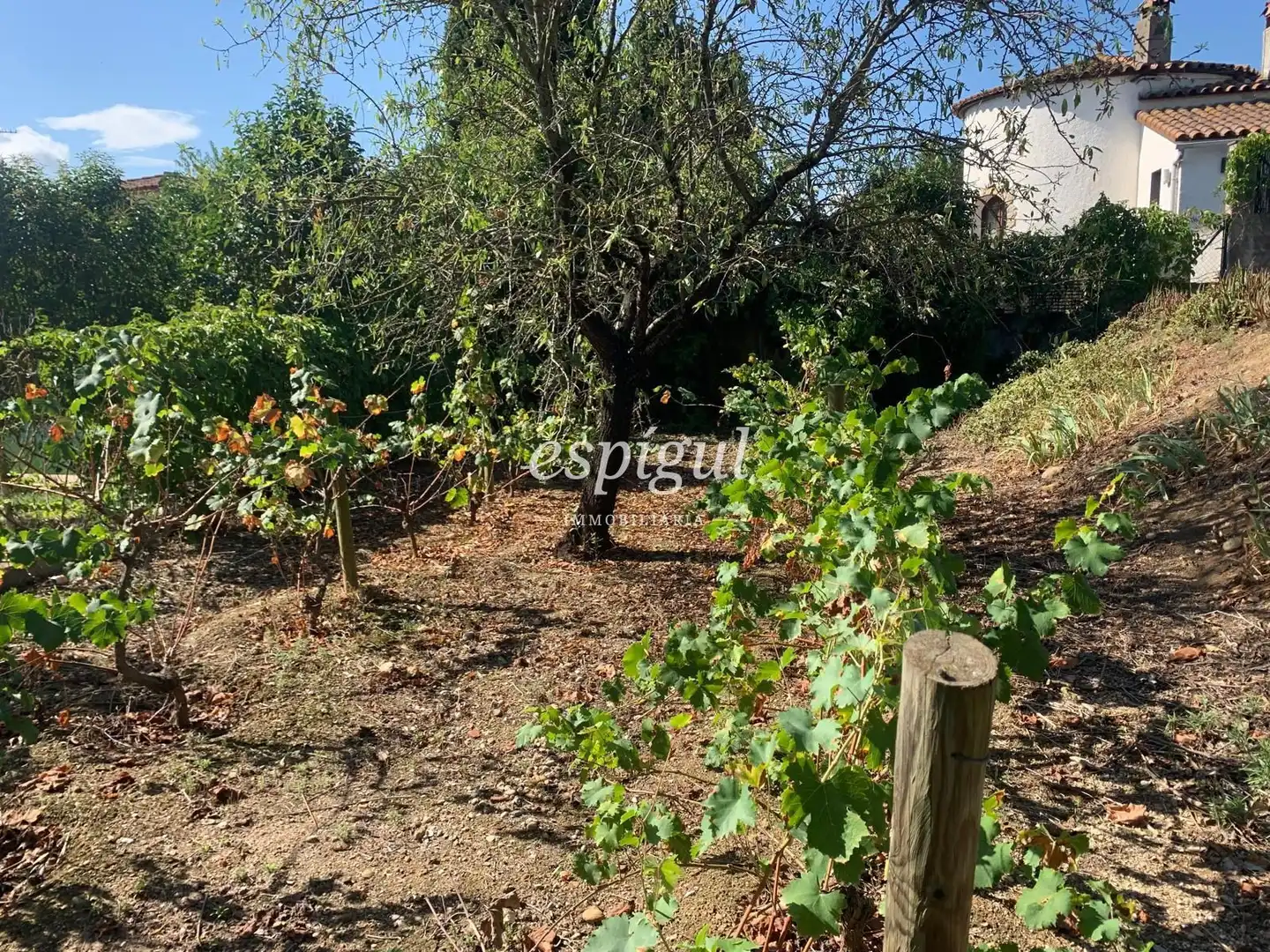 Land for sale in Dels pirineus, Bàscara
