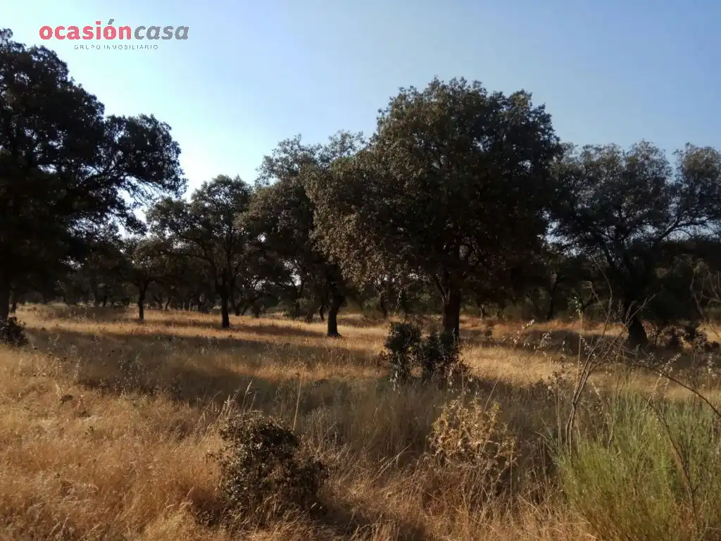 Country homes for sale in Torrecampo