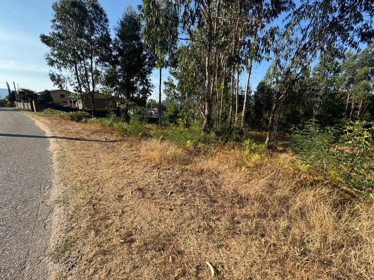 Lands and plots for sale in Lugar EIDO VELLO-BUDIÑO